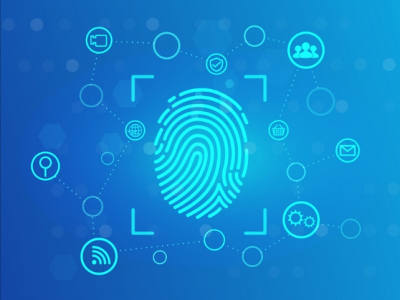 Биометрические камеры на магистрали Москва Питер: контроль или угроза личной свободы?